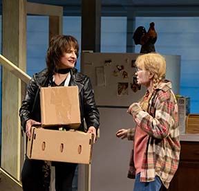 Even fine Farrow & LuPone can’t make “The Roommate” characters credible